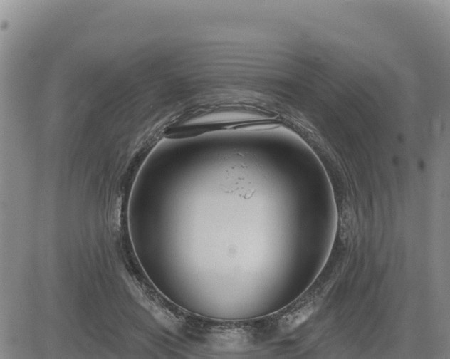 X0000084600454200703021630