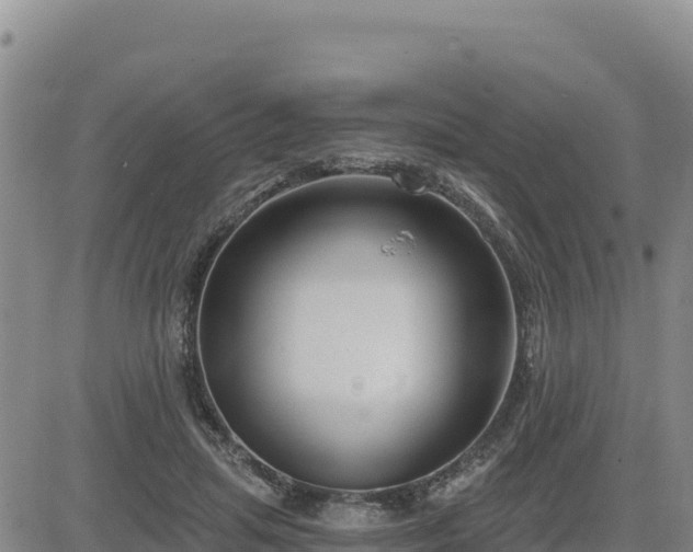 X0000084600455200703021630