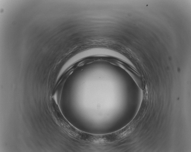 X0000084600456200703021630