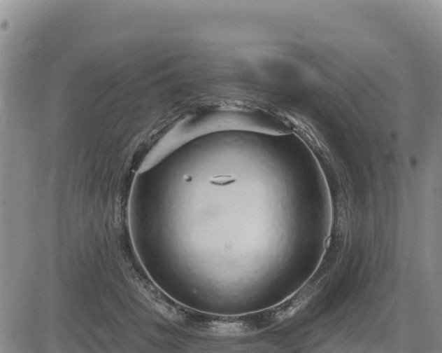 X0000084600457200703021630