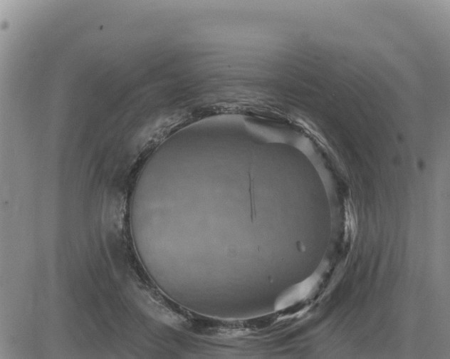 X0000084600458200703021630