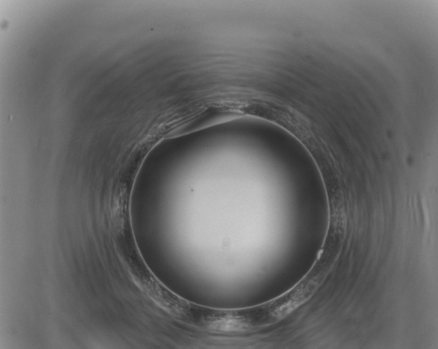 X0000084600460200703021630