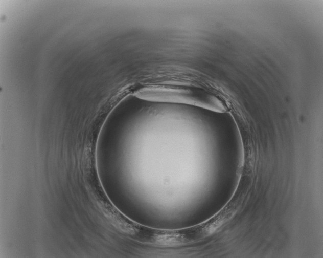 X0000084600461200703021630