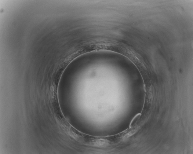 X0000084600463200703021630