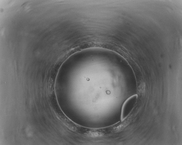 X0000084600464200703021630