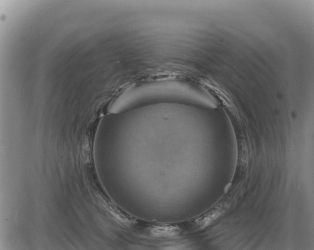 X0000084600465200703021630