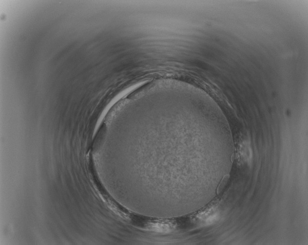 X0000084600466200703021630