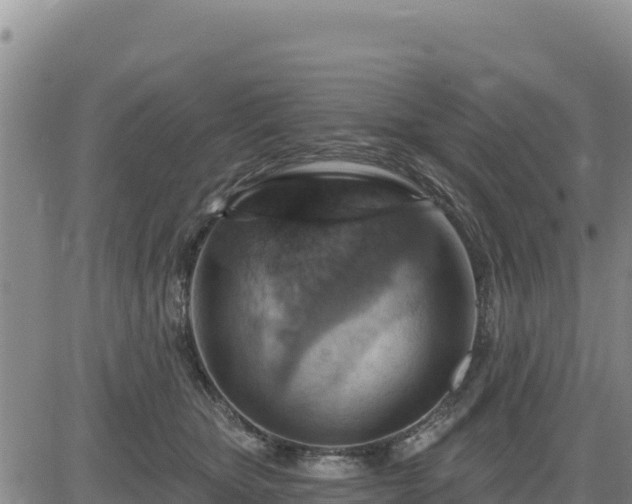 X0000084600467200703021630