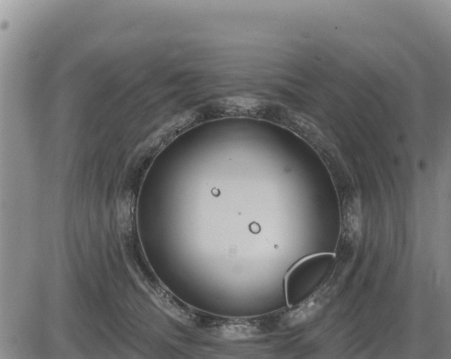 X0000084600468200703021630