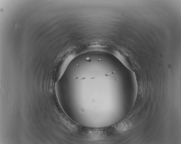 X0000084600470200703021630