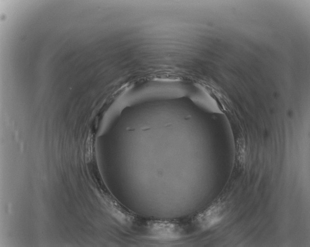 X0000084600471200703021630