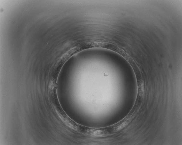 X0000084600472200703021630