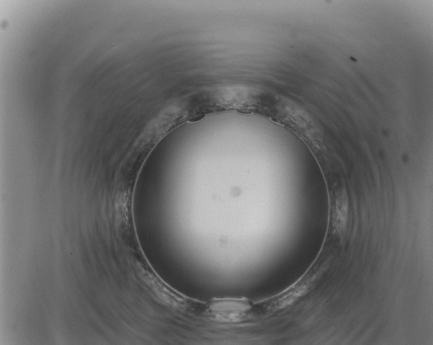 X0000084600473200703021630