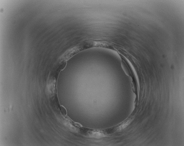 X0000084600475200703021631