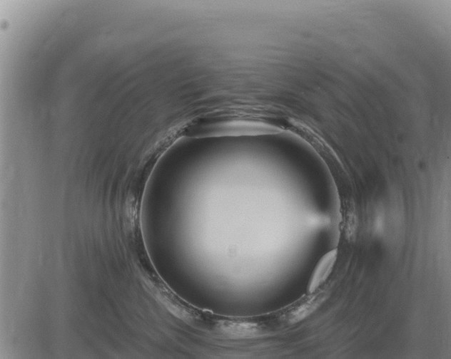 X0000084600476200703021631