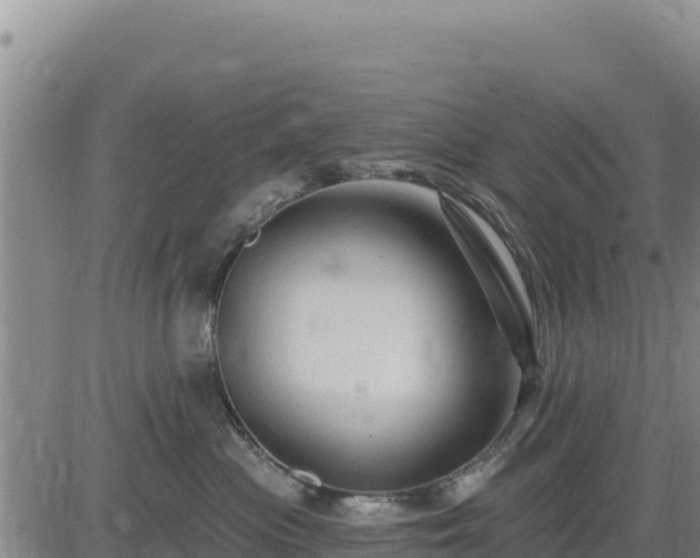 X0000084600477200703021631