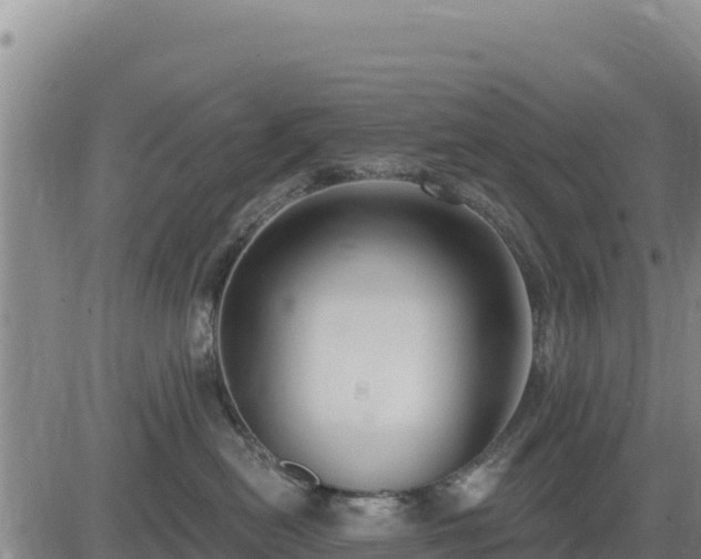 X0000084600478200703021631