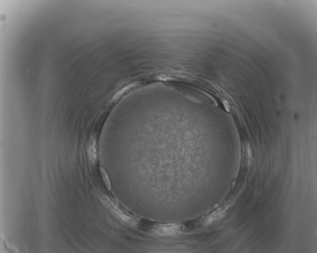 X0000084600479200703021631