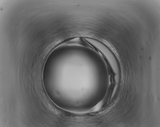 X0000084600481200703021630