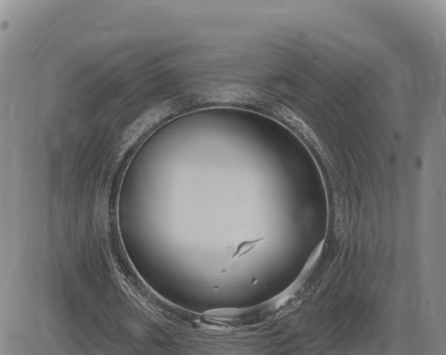 X0000084600482200703021630