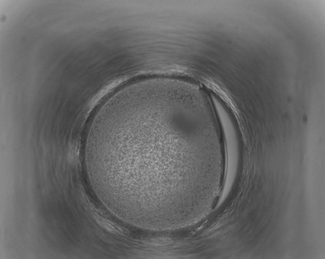 X0000084600483200703021630