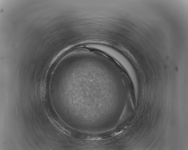 X0000084600484200703021630