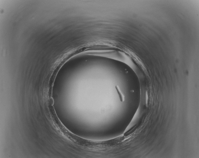 X0000084600485200703021630