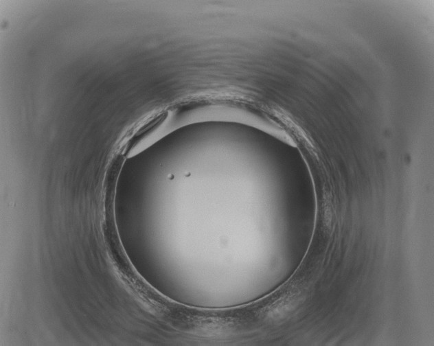 X0000084600486200703021630