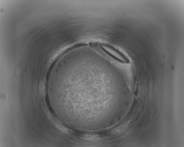 X0000084600487200703021630