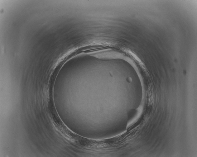 X0000084600488200703021630