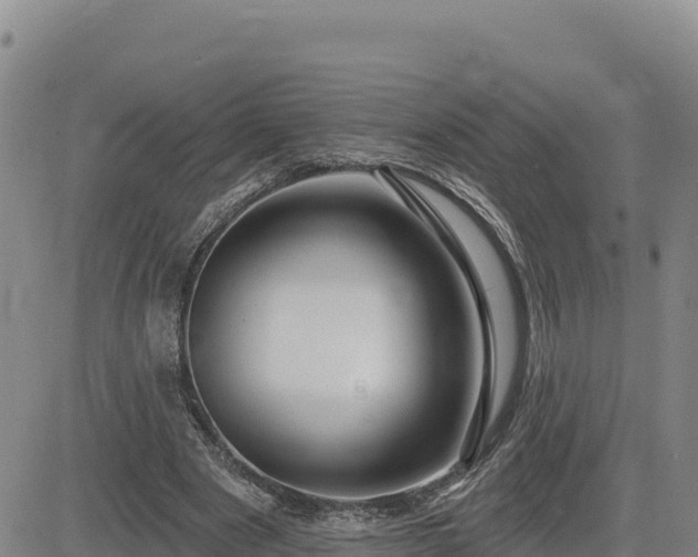 X0000084600489200703021630