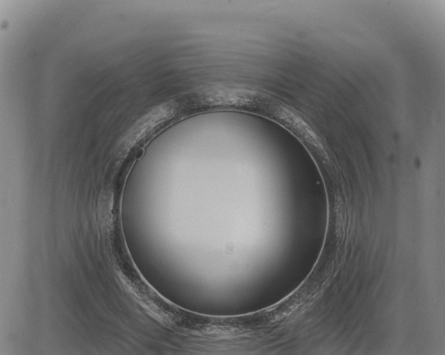 X0000084600490200703021630