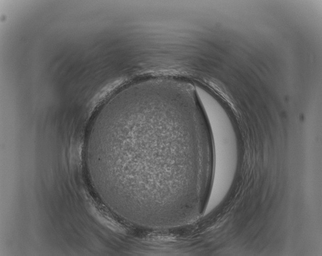 X0000084600491200703021630