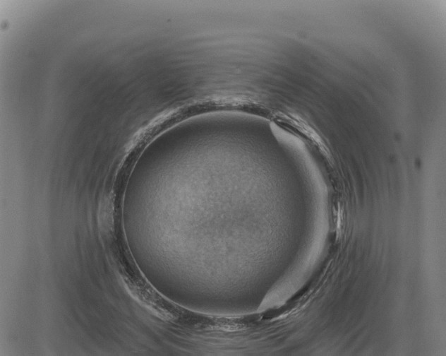 X0000084600492200703021630