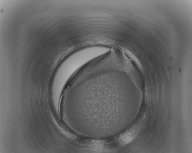 X0000084600493200703021630