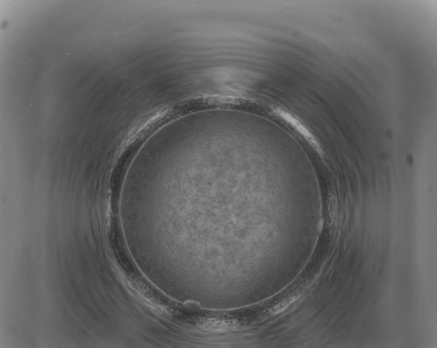 X0000084600494200703021630