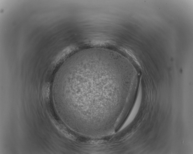 X0000084600495200703021629