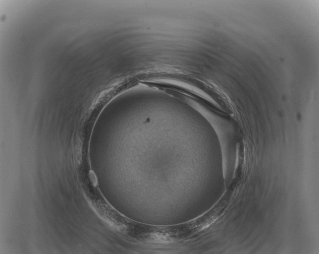 X0000084600496200703021629