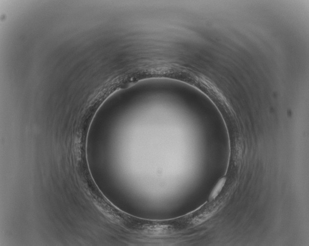 X0000084600497200703021629