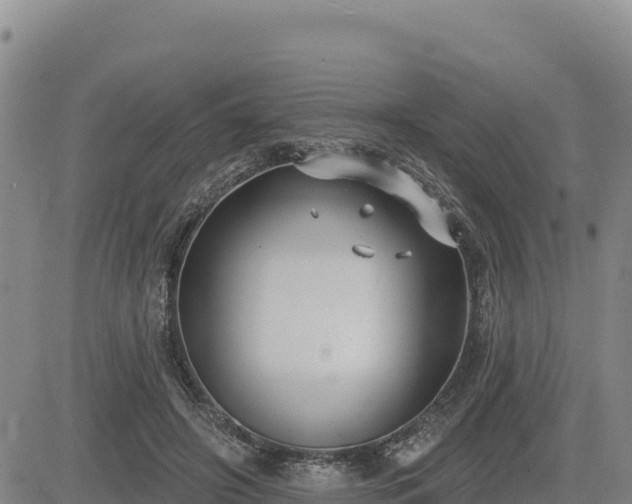 X0000084600498200703021629