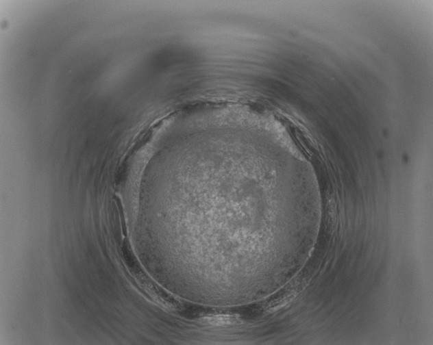 X0000084600499200703021629