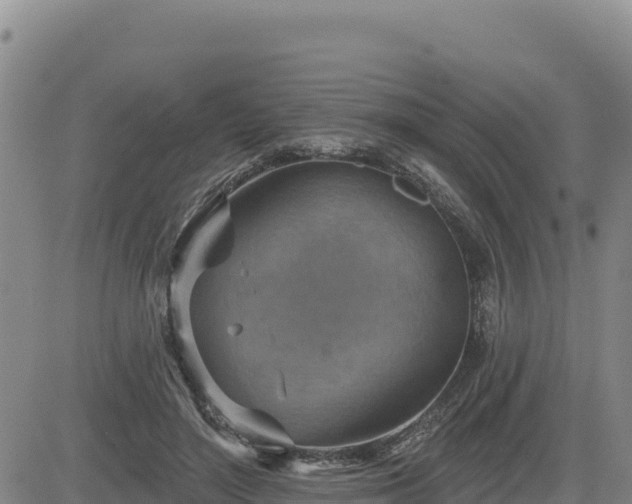 X0000084600500200703021629