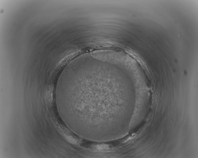 X0000084600501200703021629