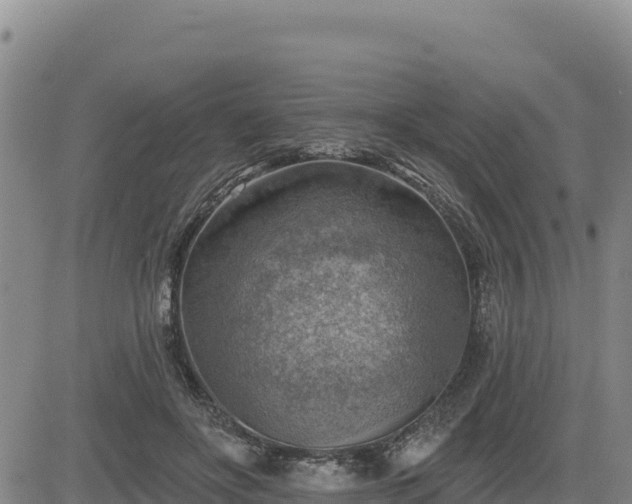 X0000084600502200703021629