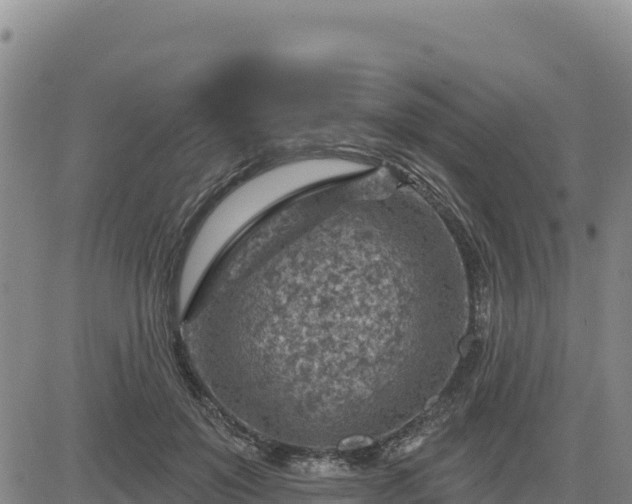 X0000084600503200703021629