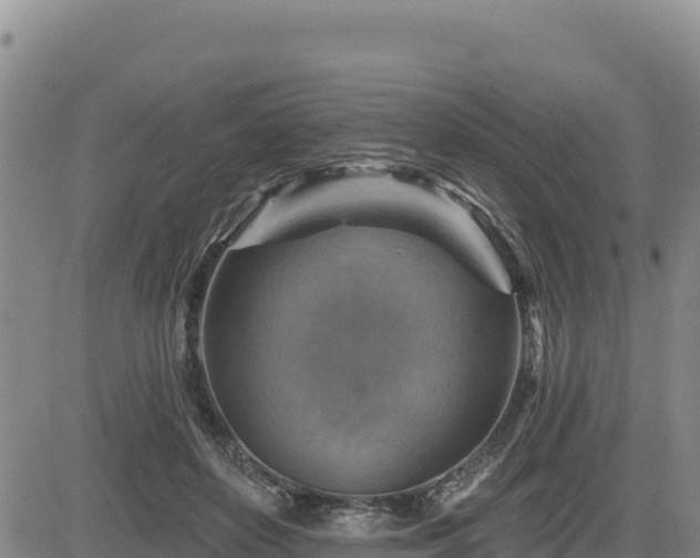 X0000084600504200703021629