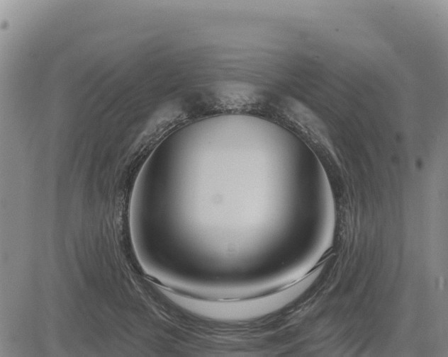 X0000084600505200703021629