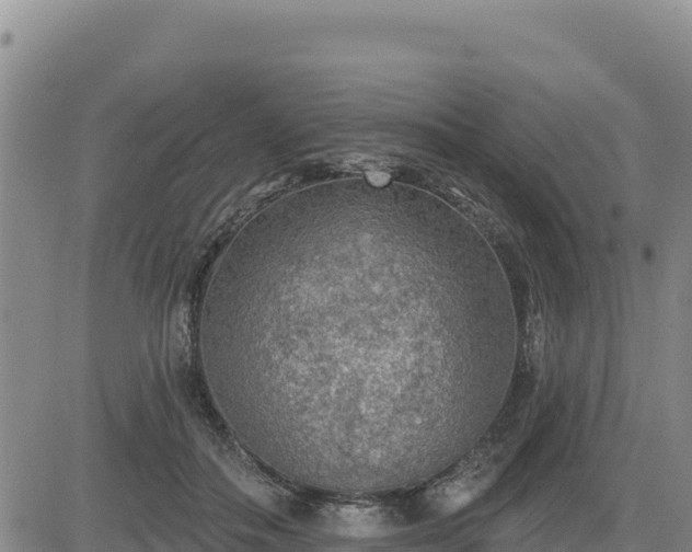 X0000084600506200703021629