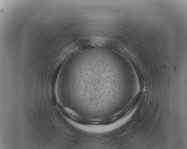 X0000084600508200703021629