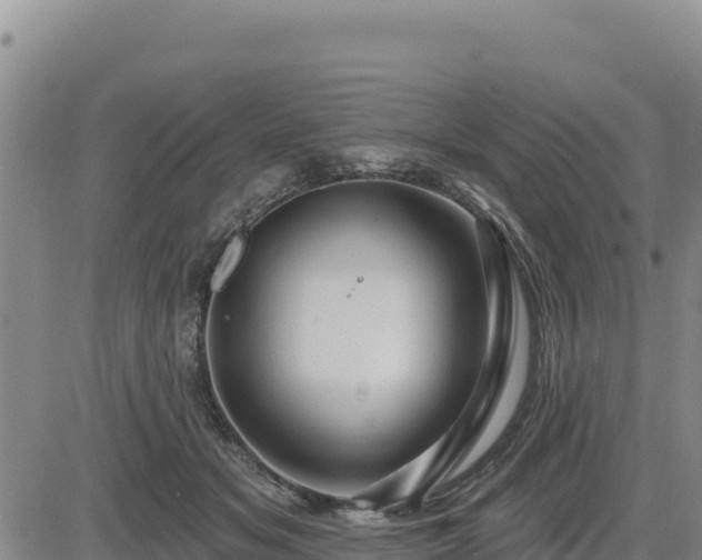 X0000084600509200703021629